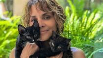 Halle Berry na upečatljiv način proslavila 20. godišnjicu filma "Catwoman": S mačkama, u toplesu