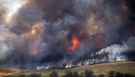 Balkan u borbi protiv šumskih požara: "Klimatska katastrofa" sve više uzima maha