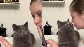 Neopisiva ljubav prema vlasnici: Snimak mačka koji s divljenjem gleda u nju će osvojiti vaše srce