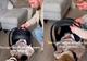 Prvi susret bebe i porodičnog psa rasplakao ljude: Ovo je najljepši video koji sam pogledala